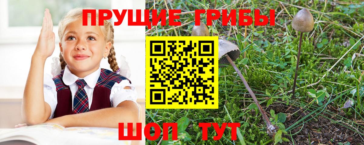 Галлюциногенные грибы мухоморы Сертолово